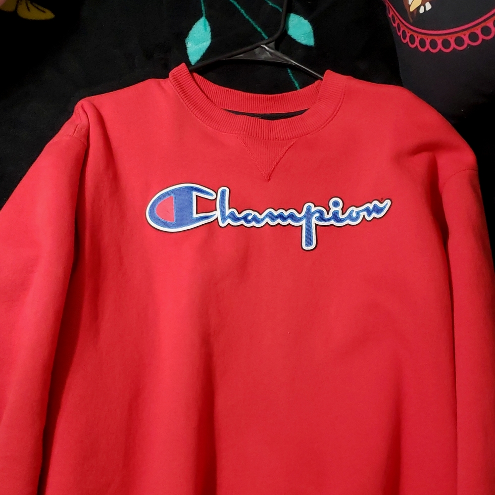 Champion sweater